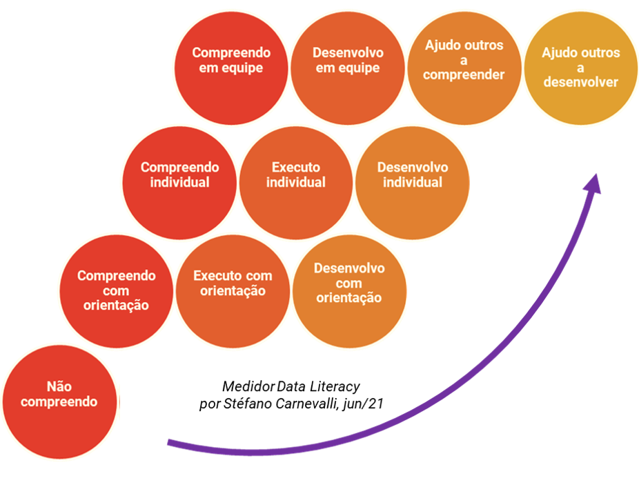 Medidor Data Literacy por Stéfano Carnevalli